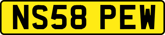 NS58PEW