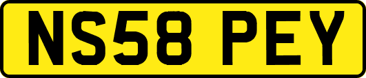 NS58PEY