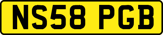 NS58PGB