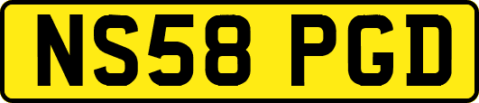 NS58PGD