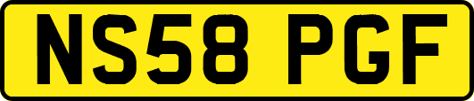 NS58PGF