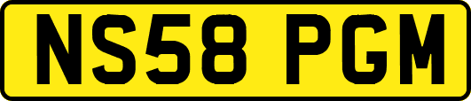 NS58PGM