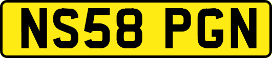 NS58PGN