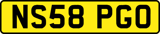 NS58PGO