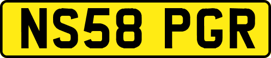 NS58PGR
