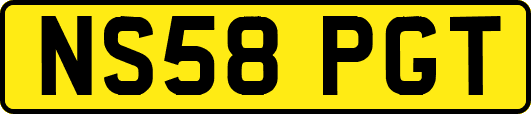 NS58PGT