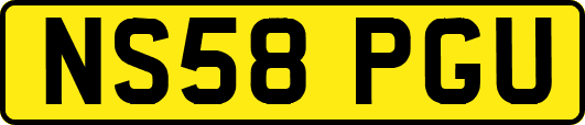 NS58PGU