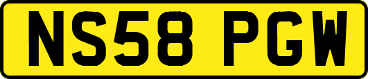 NS58PGW