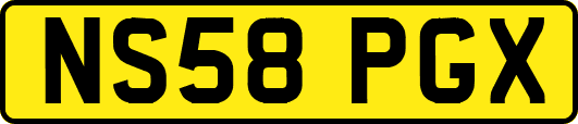 NS58PGX