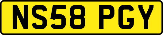 NS58PGY