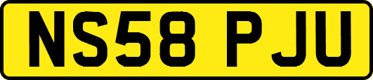 NS58PJU