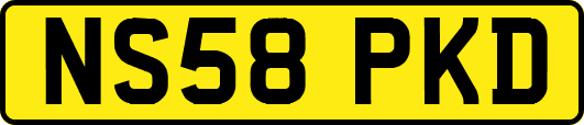 NS58PKD