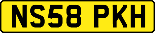 NS58PKH