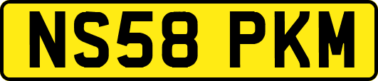 NS58PKM