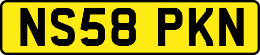 NS58PKN