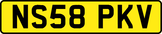 NS58PKV