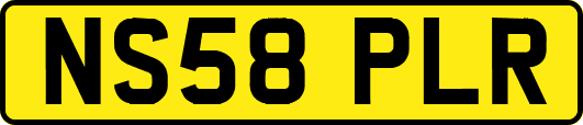NS58PLR