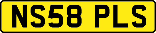 NS58PLS