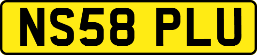 NS58PLU
