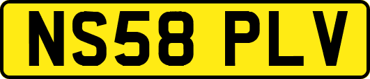 NS58PLV