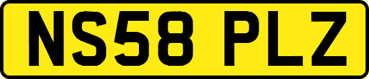 NS58PLZ