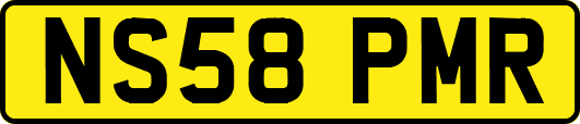 NS58PMR