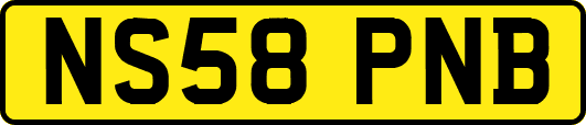 NS58PNB