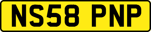 NS58PNP