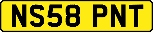 NS58PNT