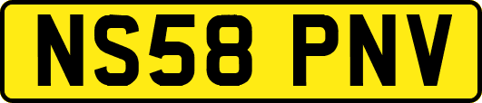NS58PNV