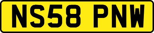 NS58PNW