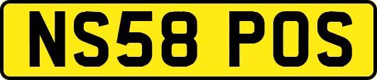 NS58POS