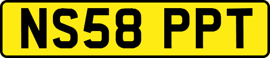 NS58PPT