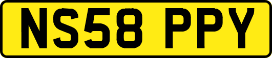 NS58PPY