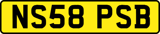 NS58PSB