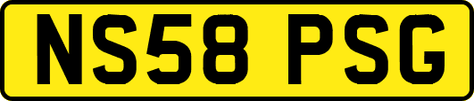 NS58PSG