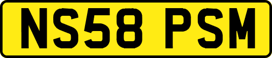 NS58PSM