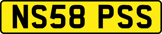 NS58PSS