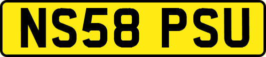 NS58PSU