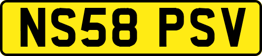 NS58PSV