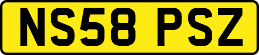 NS58PSZ