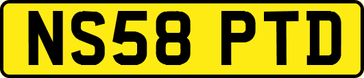 NS58PTD