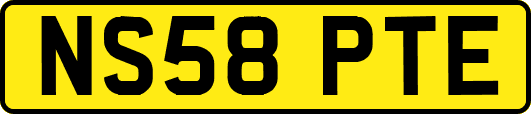 NS58PTE