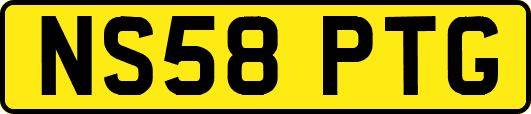 NS58PTG