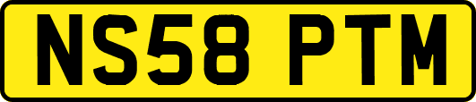 NS58PTM