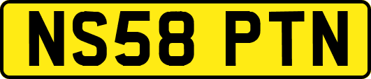 NS58PTN
