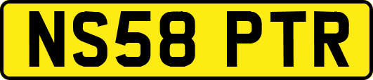 NS58PTR