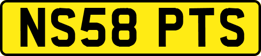 NS58PTS