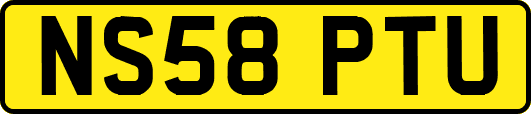 NS58PTU