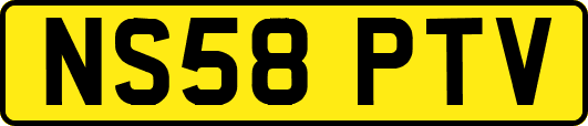 NS58PTV
